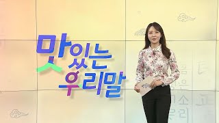 [2022 맛있는 우리말] 13회 / 연합뉴스TV (YonhapnewsTV)