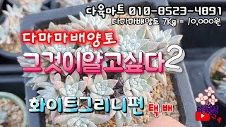 다마마배양토 그것이 알고싶다2 #화이트그리니편 (택배가능) #다육마트(010-8523-4891) #힐링다육 #다육홀릭