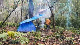 Heavy Rain Camping In Dangerous Forest | Rain Sound ASMR \u0026 Cooking