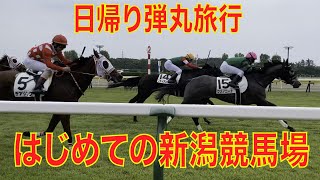 【日帰り弾丸旅行】東京→はじめての新潟競馬場