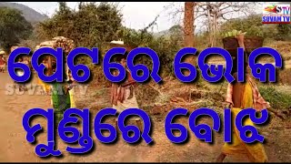 ପେଟରେ ଭୋକ, ମୁଣ୍ଡରେ ବୋଝ || Petare Bhoka Mundare Bojha || suvamtv