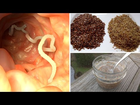 How to Get Rid of Intestinal Parasites (recipe) How to Get Rid of Intestinal Parasites (recipe)