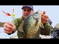 Simple Bobber and Jig catches Fall Crappie