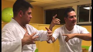 Taikiken seminar, Benoît Naous Renshi, organized by Federation Kyokushin Of Karate, KTS Dojo 2019