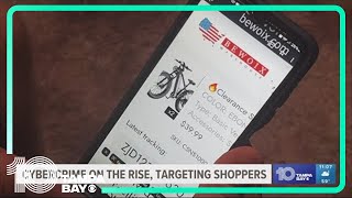 Consumer alert: Cybercrime on the rise, targeting holiday shoppers