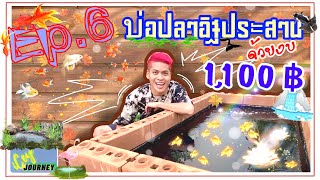 Ep.6 : ทำบ่อปลาจากอิฐประสาน ด้วยงบไม่เกิน 1,100฿ | iCey Journey