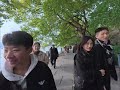 中午漫步在中国杭州的西湖 断桥 白堤 平湖秋月 孤山 chain hangzhou 4k hdr