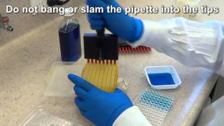 Multichannel Pipetting