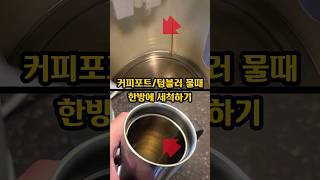 커피포트와 텀블러 찌든 물때 한방에 깔끔하게 세척하는 방법 | 구연산 활용법 | 생활의 팁