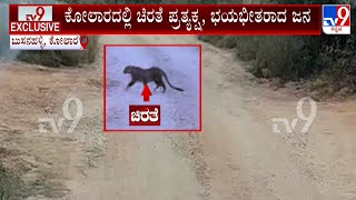 Leopard Caught In Mobile Camera At Kolar: ಕೋಲಾರದಲ್ಲಿ ಚಿರತೆ ಪ್ರತ್ಯಕ್ಷ, ಭಯಭೀತರಾದ ಜನ