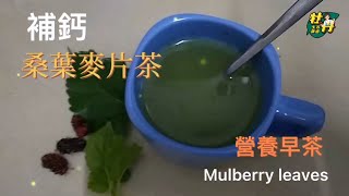 【桑葉麥片茶】Mulberry Leaves 我不愛喝牛奶，桑葉麥片茶是我的補鈣早茶