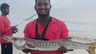 BIG BARRACUDA \u0026 GT CATCHING VIDEO🔥பெரிய ஊளி \u0026 பாறை மீன் பிடித்த பதிவு #fishing #gtfishing #barracuda