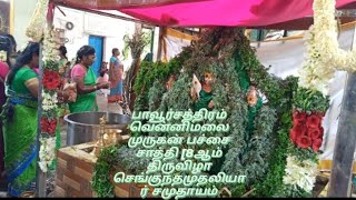 பாவூர்சத்திரம் வென்னிமலை முருகன் கோயில் 8ஆம் திருவிழா [] செங்குந்தமுதலியார் சமுதாயம்[]பச்சை சாத்தி🟢