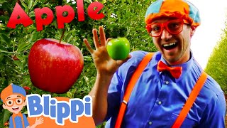 Learn About Fruits With Blippi! | Fun Apple Fruit Factory Tour | Educational Videos for Kids