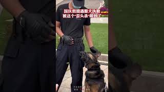 国庆假期遇警犬执勤，吸引无数游客围观，这个\