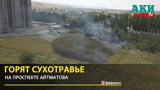 На проспекте Чынгыза Айтматова горит сухотравье