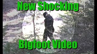 Massive Bigfoot footage.  Sasquatch are in Idaho