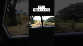 살면서 제일 무서운 상황