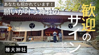 連発する神様の歓迎のサイン！動画が表示される＝あなたも招かれています #椿大神社