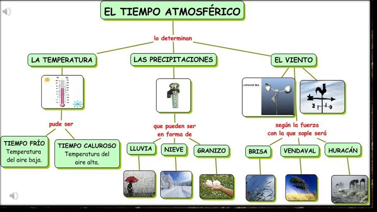 5TO B CIENCIAS NATURALES - YouTube