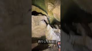 ドウマンガニか？！#shorts #浜名湖 #奥浜名湖