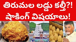 తిరుమల లడ్డు కల్తీ? షాకింగ్ విషయాలు! Tirumala Laddu kaltee Ghee? | Tirupathi Laddu videos telugu