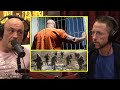 Russian Monsters Are Being Sent To The Frontlines | Joe Rogan  Neal Brennan