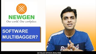 Newgen Software | A Multibagger Story? | The Logical Investor