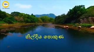 Piduru Sevikala ( පිදුරු සෙවිකල )