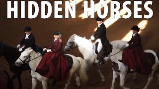 Hidden Horses of Amsterdam- de Hollandsche Manege