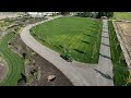 Huge Food Harvest + Planting 9 of the New Maples! 🍅🫑🌳 // Garden Answer