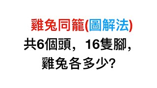 圖解法雞兔同籠 | 數學思維(八) | 數學思考題 #數學思維 #小學數學 #趣味數學