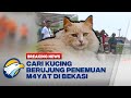 BREAKING NEWS - Niat Cari Kucing, Saksi Malah Temukan 7 M4yat di Sungai Bekasi