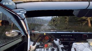 Dirt Rally 2 - 037 Stradle in the wet