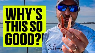 The Most ACCURATE Lure Color Test Ever? (New Penny vs. Terd Ferguson!)