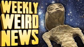Aliens Are Real, and They're Tiny Little Guys - Weekly Weird News