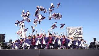 長崎大学「突風」 ♪​挑む者 @ かごしま春祭 大ハンヤ (ウォーターフロントパーク会場/1日目) 2019-04-27T15:48