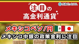 FXテキスト動画【メキシコペソ/円】「メキシコ中銀の政策金利に注目」注目の高金利通貨　11月11日号