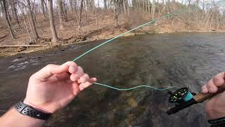 Special regulations fly fishing