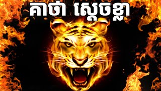 គាថា ស្ដេចខ្លា