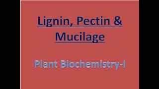 Lignin, Pectin & Mucilage #plantbiochemistry #pectinlignin #whatismucilage