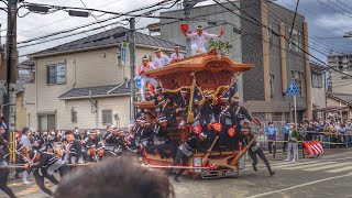 令和4年　堺市西区　鳳地区　本宮　だんじり連合パレード　やりまわし　ココカラファイン