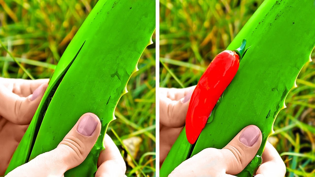 Fantastic Plant Hacks And Diy Gardening Ideas Youtube