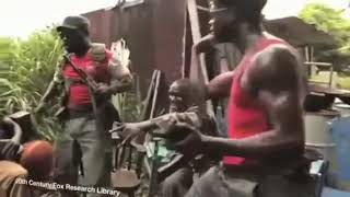 Ape With AK- 47