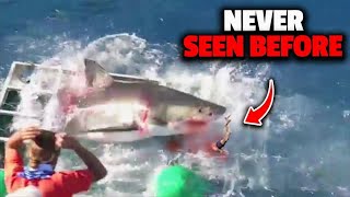 The Most Gruesome Shark Attacks Ever Recorded