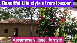 RURAL LIFE OF ASSAMESE COMMUNITY IN ASSAM, RURAL INDIA, VILLAGE ASSAM, INDIA