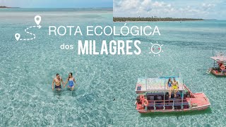 SÃO MIGUEL DOS MILAGRES, ALAGOAS | Rota ecológica com preços, Praia do Patacho, Riacho, Maragogi