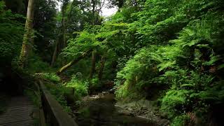 Groudle Glen, Isle of Man, UK