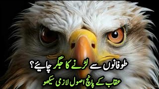 The Eagle Mentality - Best Motivational Video | Eagle Motivation | Eagle Motivational Speech