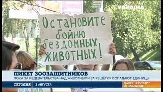 В Украине ужесточили статью за издевательство над животными